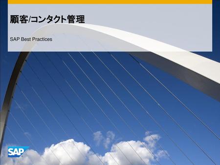 顧客/コンタクト管理 SAP Best Practices.