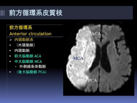 前方循環系皮質枝 前方循環系 Anterior circulation ACA MCA PCA 内頸動脈系 （外頸動脈） 内頸動脈