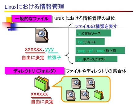 xxxxxx . yyy xxxxxx Linuxにおける情報管理 一般的なファイル UNIX における情報管理の単位 ファイルの種類を表す
