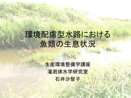 生産環境整備学講座 灌漑排水学研究室 石井沙智子