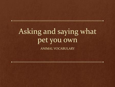 Asking and saying what pet you own