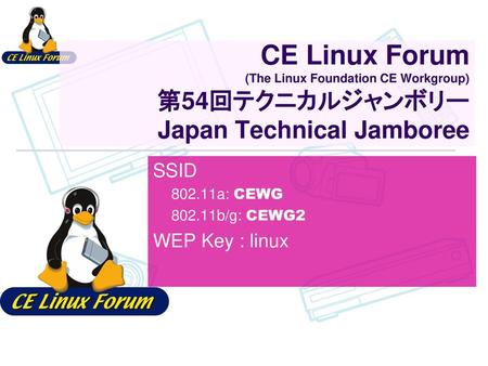 SSID a: CEWG b/g: CEWG2 WEP Key : linux