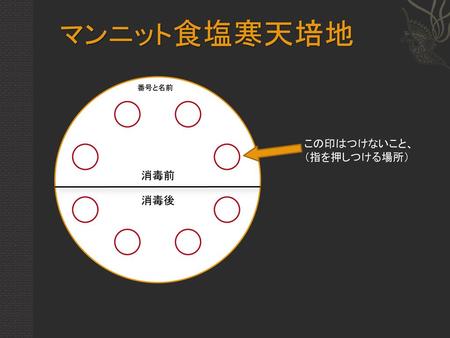 マンニット食塩寒天培地 番号と名前 この印はつけないこと、（指を押しつける場所） 消毒前 消毒後.