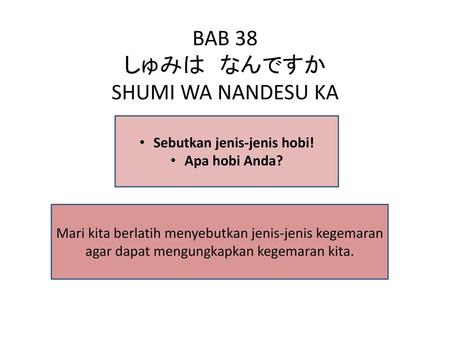 BAB 38 しゅみは なんですか SHUMI WA NANDESU KA