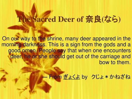 The Sacred Deer of 奈良(なら)