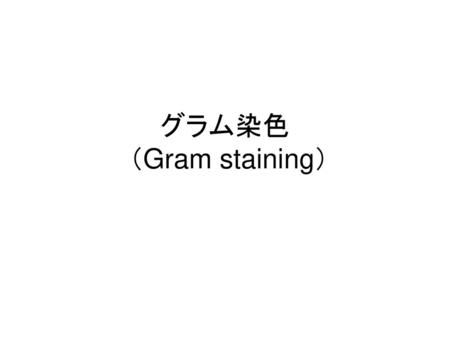 グラム染色 （Gram staining）.