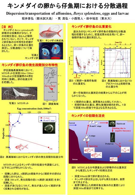 キンメダイの卵から仔魚期における分散過程