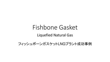 Liquefied Natural Gas フィッシュボーンガスケットLNGプラント成功事例