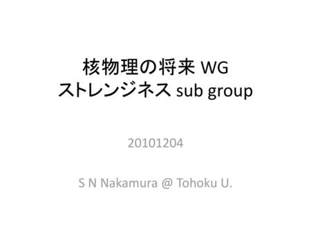 核物理の将来 WG ストレンジネス sub group