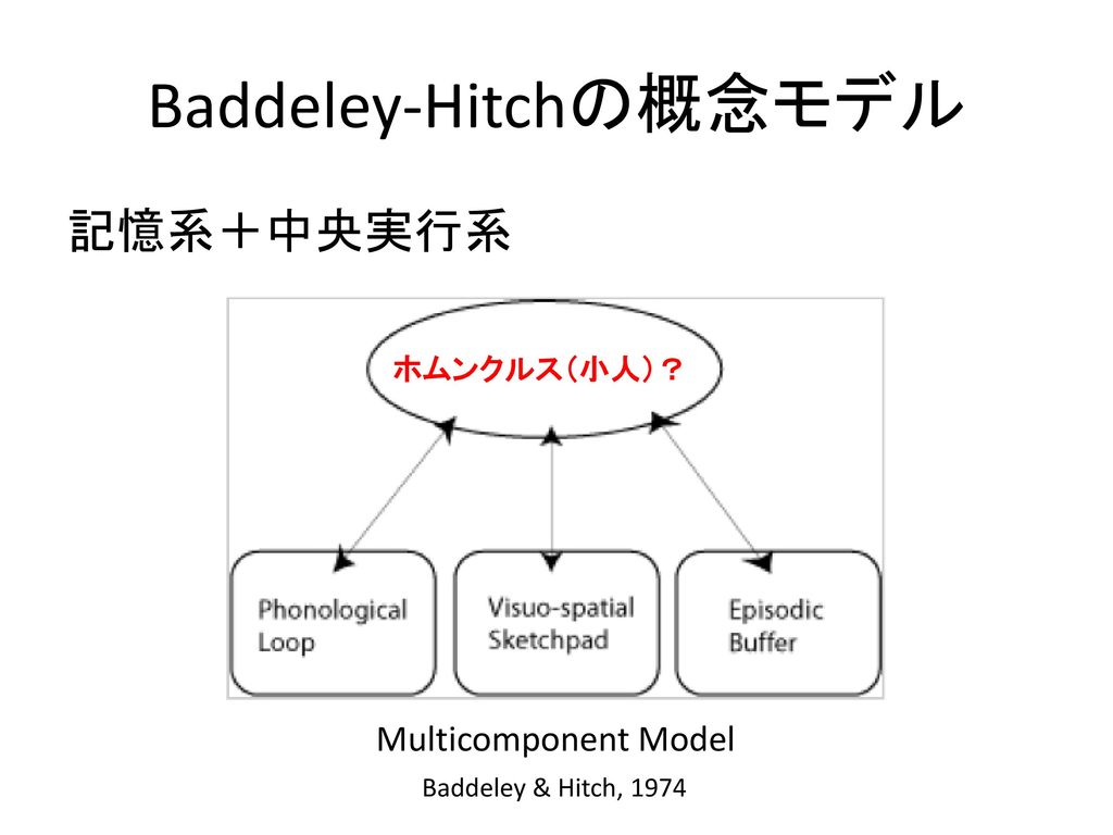 Baddeley-Hitchの概念モデル