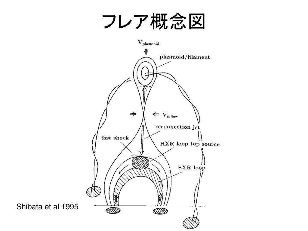 フレア概念図 Shibata et al 1995