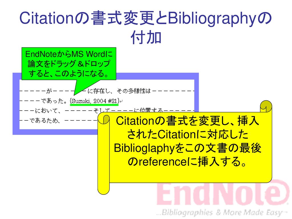 Citationの書式変更とBibliographyの付加