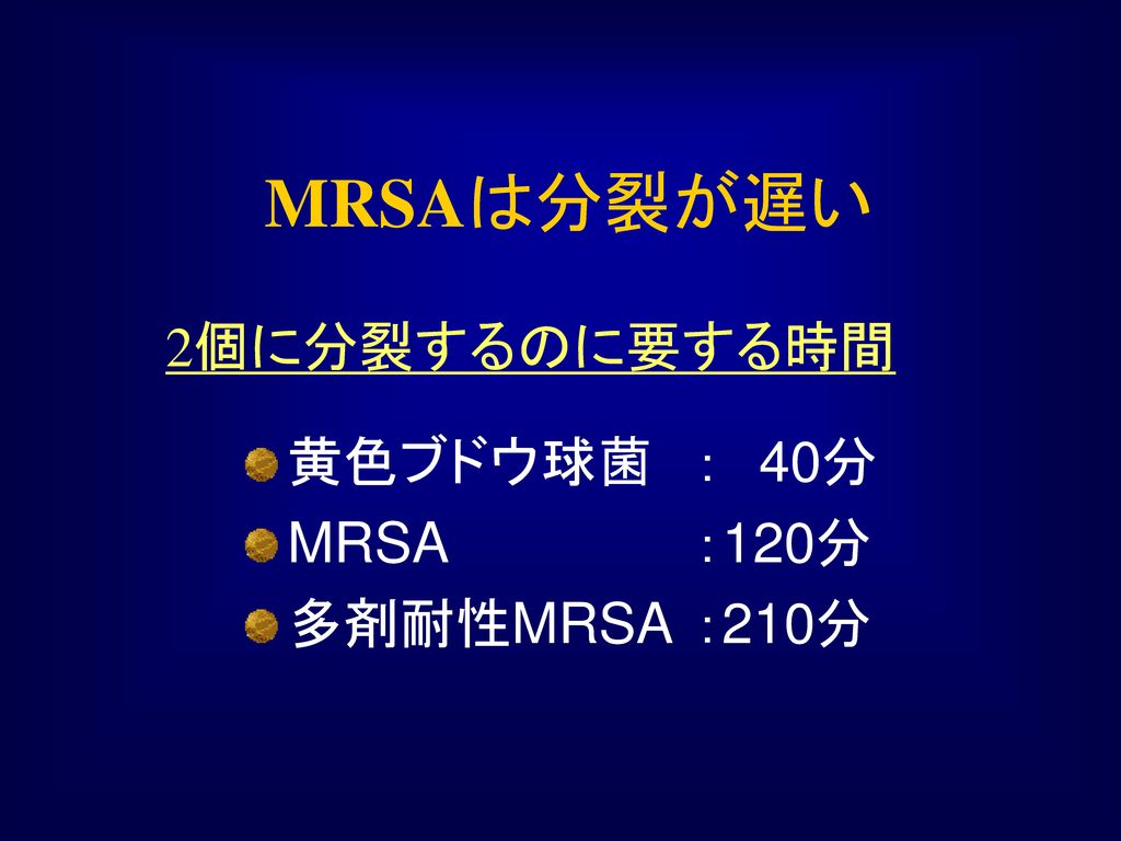 MRSAは分裂が遅い 2個に分裂するのに要する時間 黄色ブドウ球菌 ： 40分 MRSA ：120分 多剤耐性MRSA ：210分
