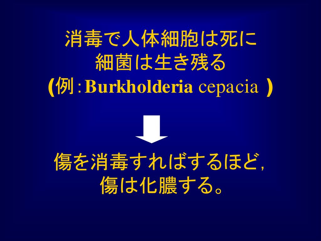 消毒で人体細胞は死に 細菌は生き残る (例：Burkholderia cepacia )