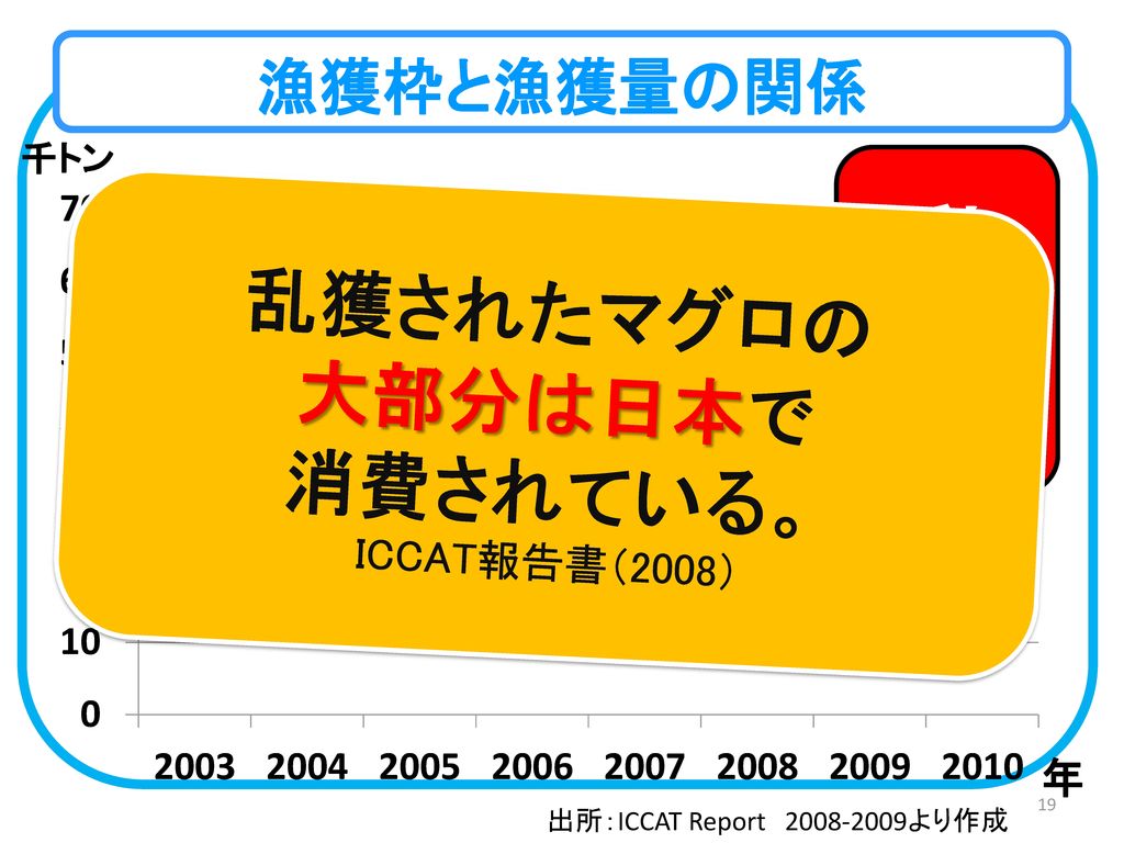 乱獲されたマグロの 大部分は日本で 消費されている。 ICCAT報告書（2008）