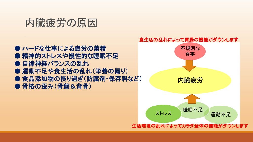 内臓の疲労と食事 研修用資料 養命研究所 株式会社 Ppt Download