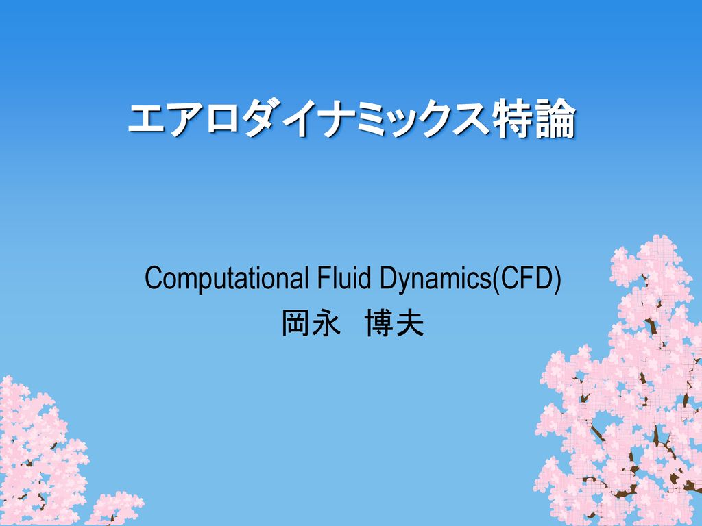 Computational Fluid Dynamics(CFD) 岡永 博夫