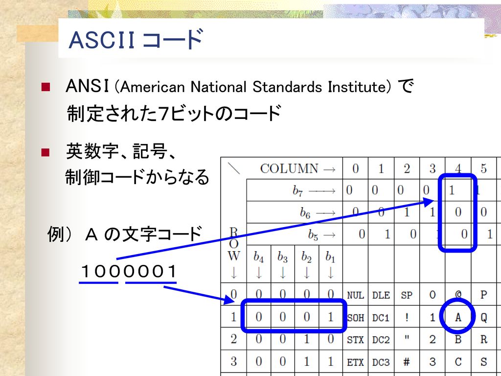 ASC I I コード ANS I (American National Standards Institute) で