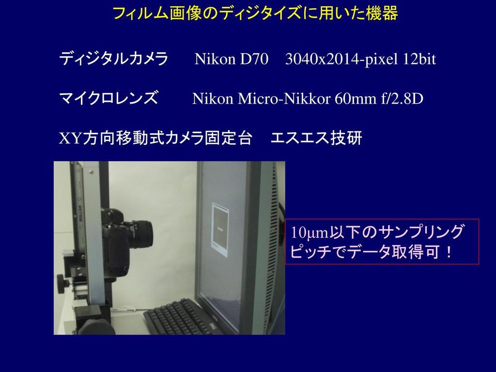 フィルム画像のディジタイズに用いた機器 ディジタルカメラ Nikon D x2014-pixel 12bit. マイクロレンズ Nikon Micro-Nikkor 60mm f/2.8D.