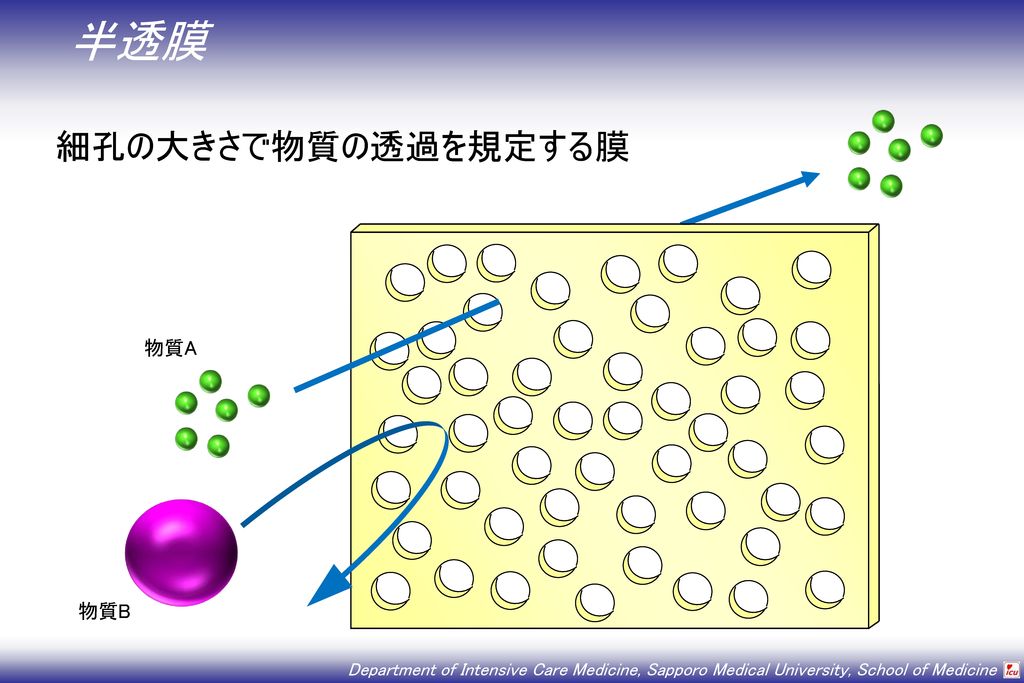半透膜 細孔の大きさで物質の透過を規定する膜 物質A 物質B