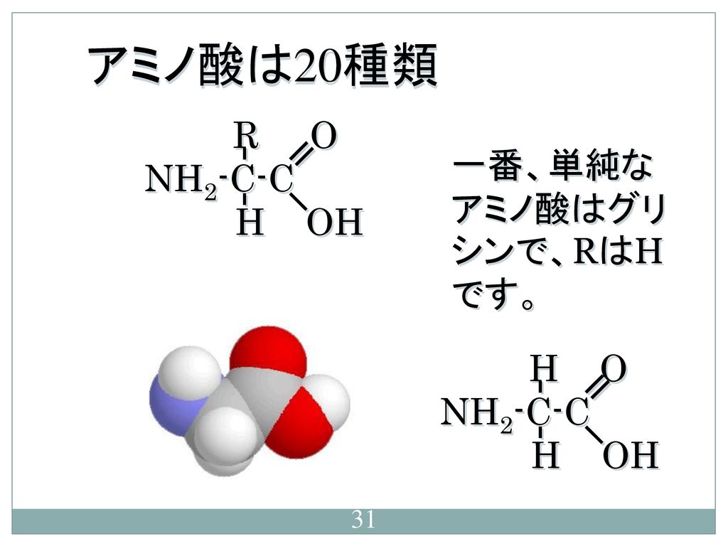 アミノ酸は20種類 R O NH2-C-C H OH 一番、単純なアミノ酸はグリシンで、RはHです。 H O NH2-C-C H OH