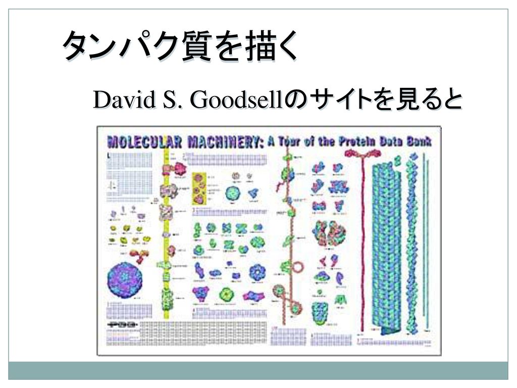 タンパク質を描く David S. Goodsellのサイトを見ると