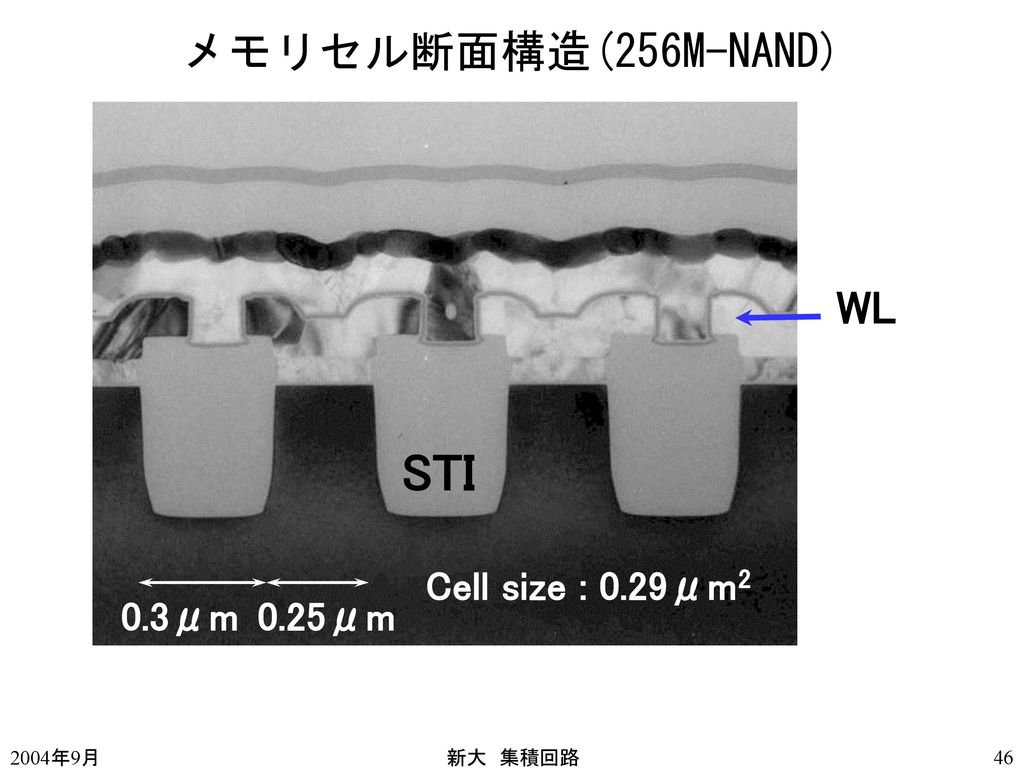 STI メモリセル断面構造(256M-NAND) WL Cell size : 0.29μm2 0.3μm 0.25μm 2004年9月