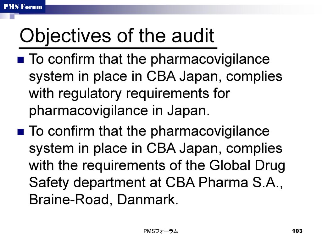 Objectives of the audit