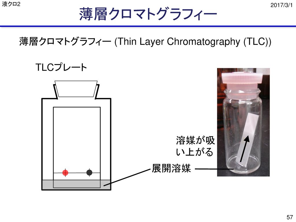 薄層クロマトグラフィー 薄層クロマトグラフィー (Thin Layer Chromatography (TLC)) TLCプレート 溶媒が吸