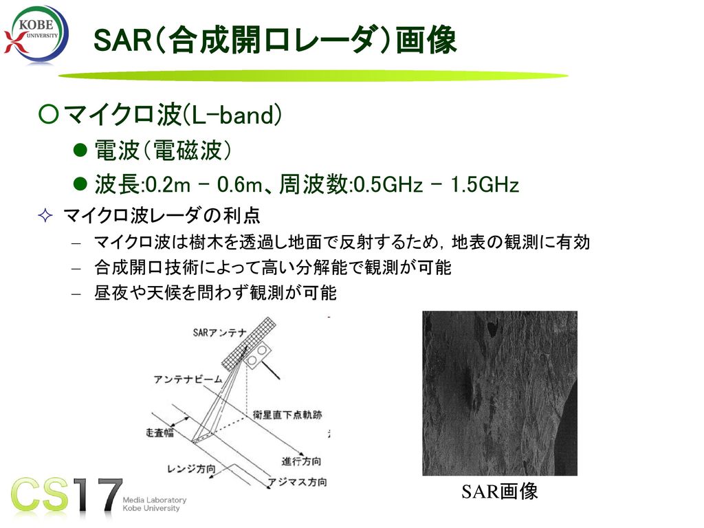 SAR（合成開口レーダ）画像 マイクロ波(L-band) 電波（電磁波）