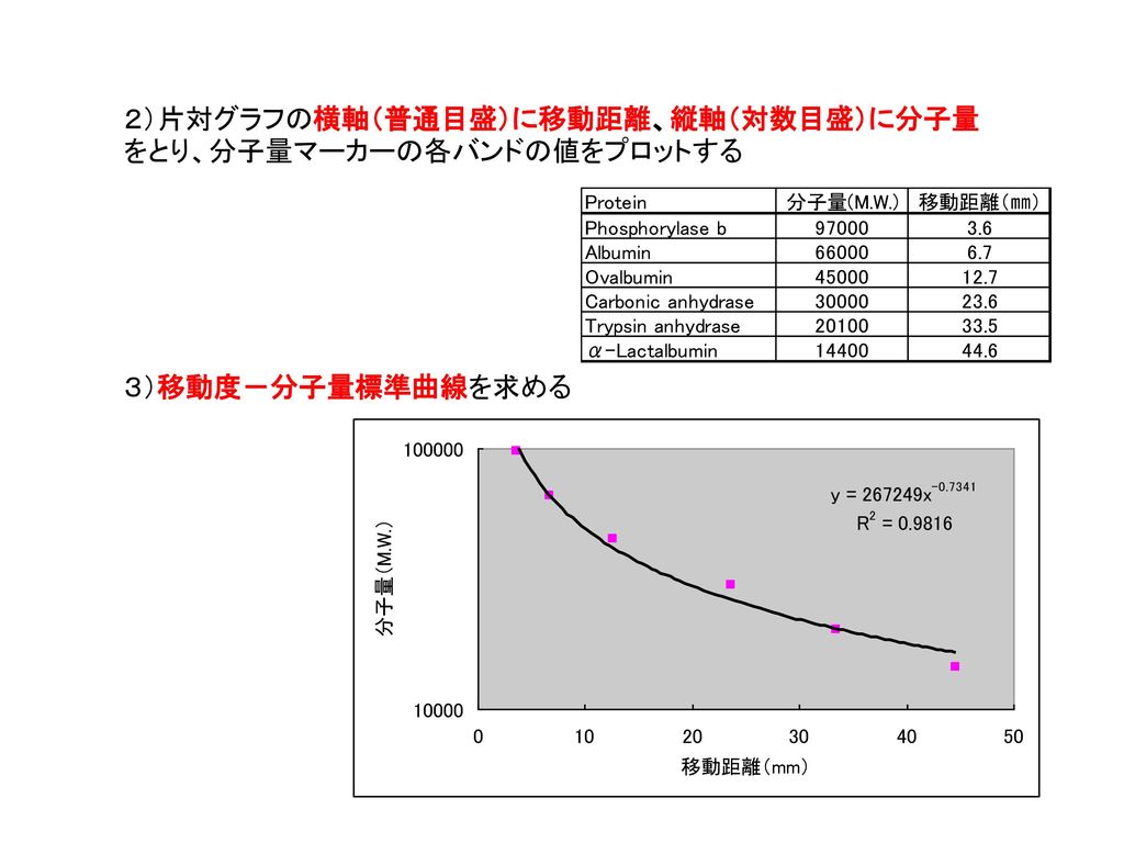 二次元電気泳動の基本 補足 分子量の求め方 前回 前々回と二次元電気泳動の基本について勉強しました Ppt Download