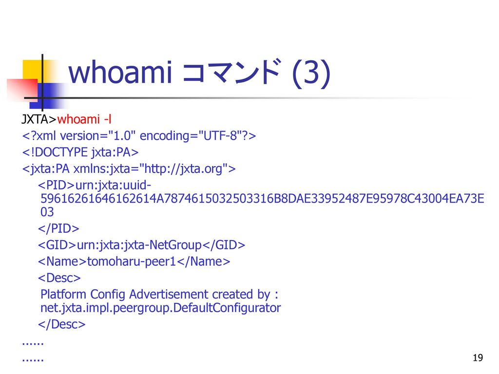 whoami コマンド (3) JXTA>whoami -l