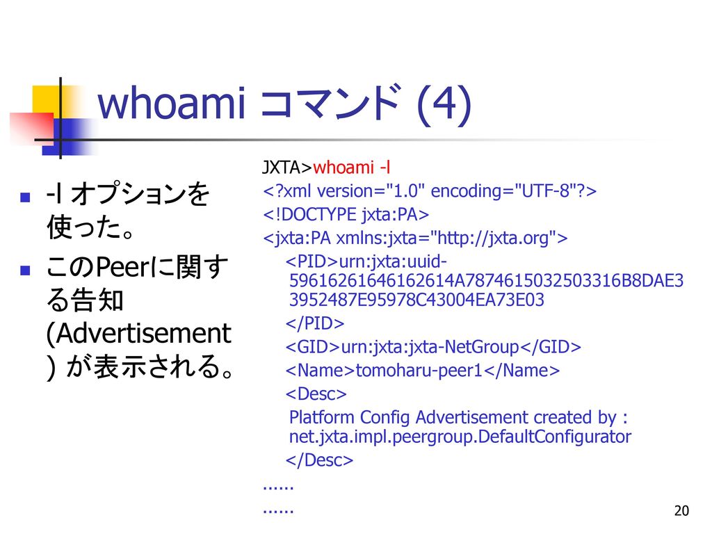 whoami コマンド (4) -l オプションを使った。 このPeerに関する告知 (Advertisement) が表示される。