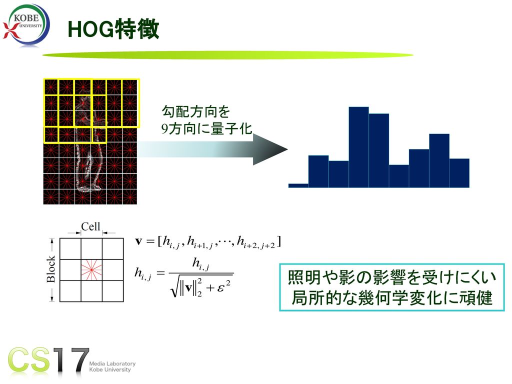 HOG特徴 勾配方向を 9方向に量子化 照明や影の影響を受けにくい 局所的な幾何学変化に頑健
