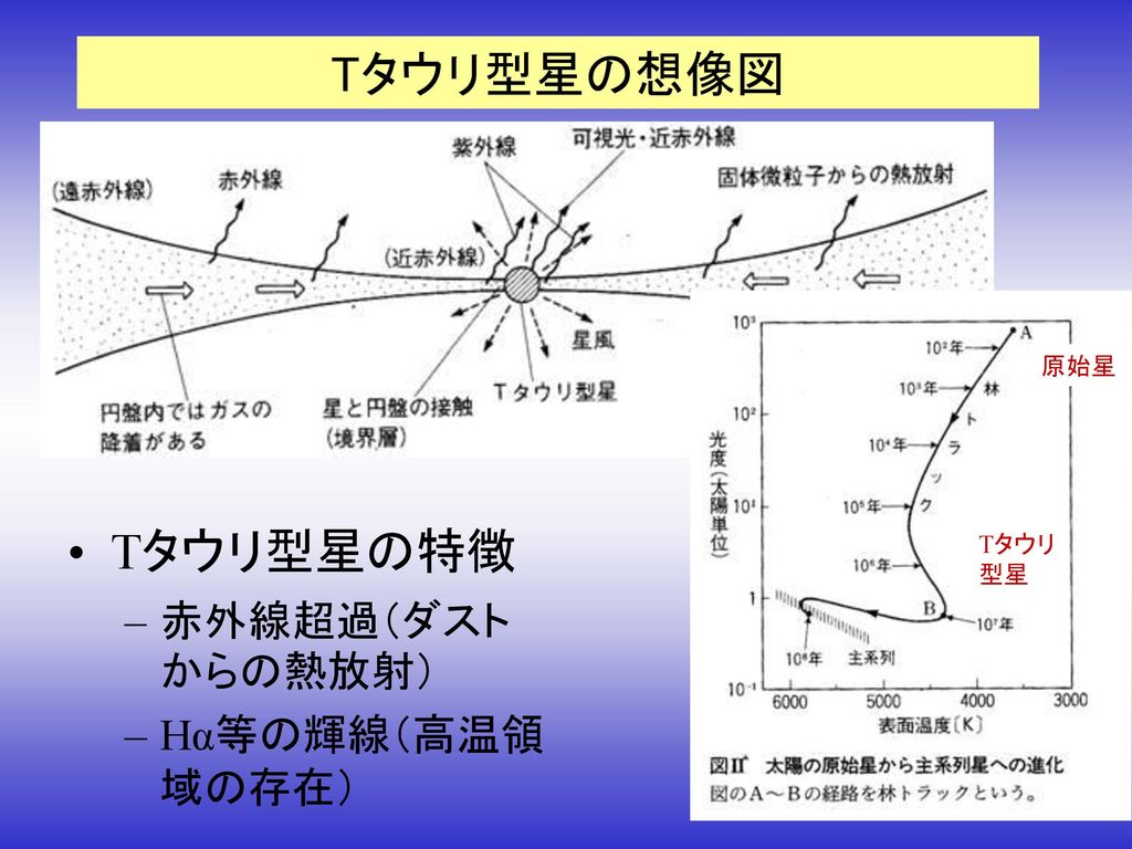 Tタウリ型星の想像図 原始星 Tタウリ型星の特徴 赤外線超過（ダストからの熱放射） Hα等の輝線（高温領域の存在） Tタウリ型星