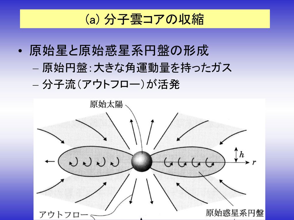 (a) 分子雲コアの収縮 原始星と原始惑星系円盤の形成 原始円盤：大きな角運動量を持ったガス 分子流（アウトフロー）が活発