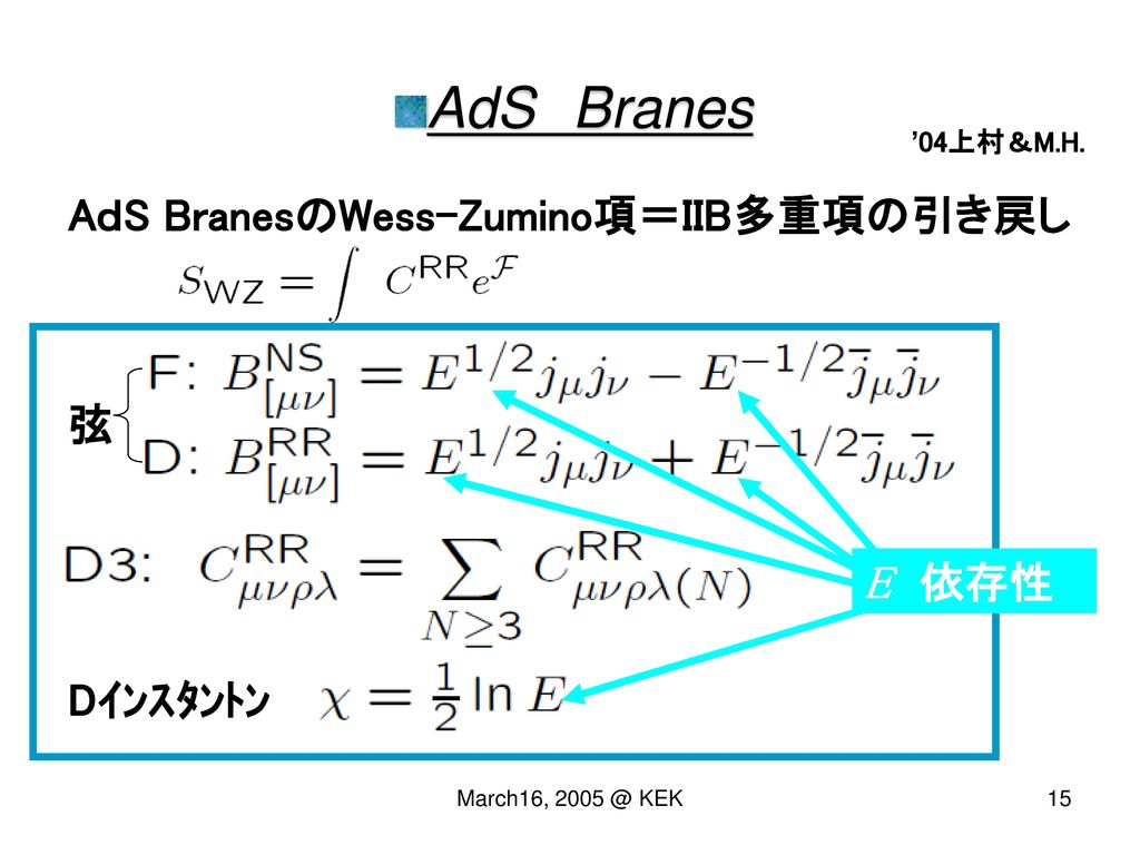 AdS Branes AｄS BranesのWess-Zumino項＝IIB多重項の引き戻し 弦 E 依存性 Dｲﾝｽﾀﾝﾄﾝ