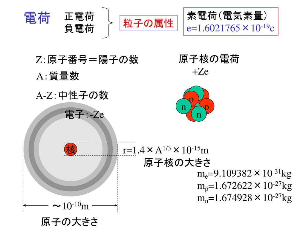 電荷 正電荷 素電荷（電気素量） 負電荷 e= ×10-19c 粒子の属性 Z：原子番号＝陽子の数 原子核の電荷 +Ze