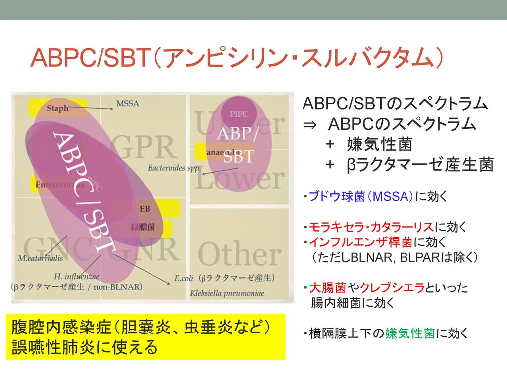 ABPC/SBT（アンピシリン・スルバクタム）