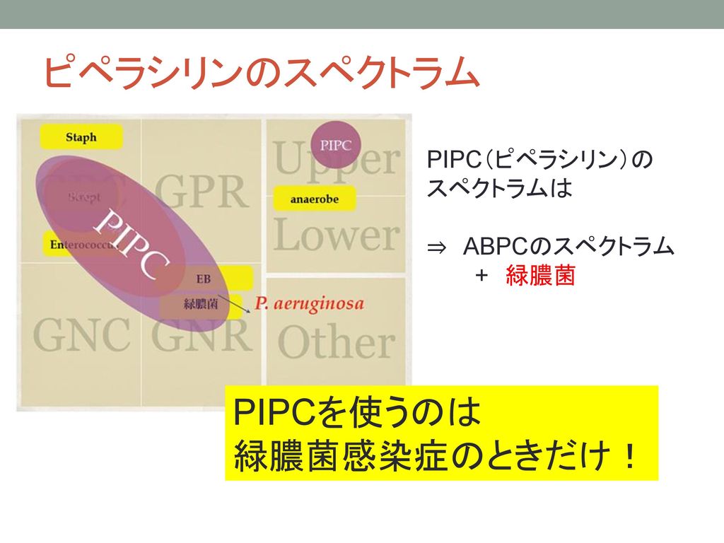 ピペラシリンのスペクトラム PIPCを使うのは 緑膿菌感染症のときだけ！ PIPC（ピペラシリン）の スペクトラムは