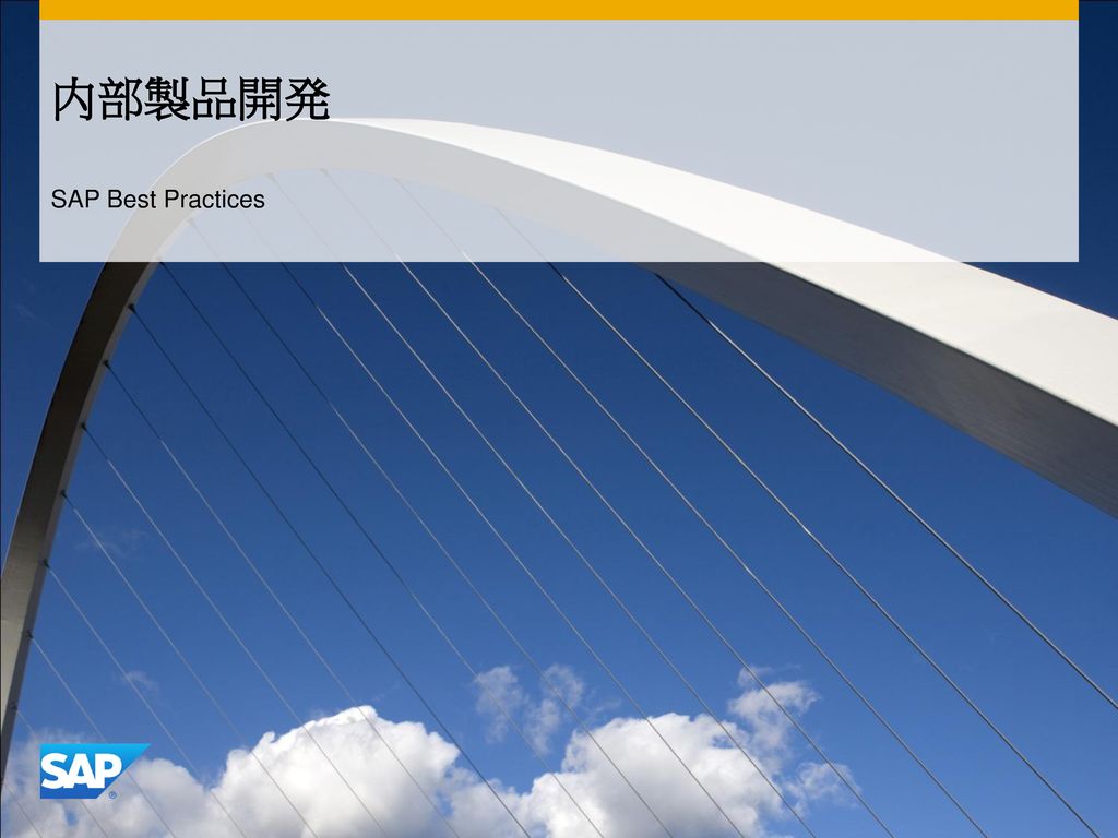 内部製品開発 SAP Best Practices
