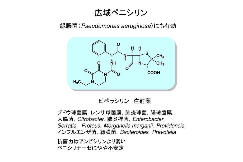 広域ペニシリン 緑膿菌（Pseudomonas aeruginosa）にも有効 ピペラシリン 注射薬