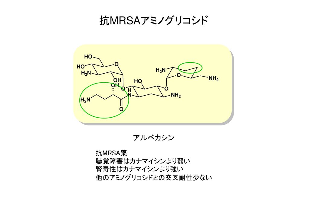 抗MRSAアミノグリコシド アルベカシン 抗MRSA薬 聴覚障害はカナマイシンより弱い 腎毒性はカナマイシンより強い