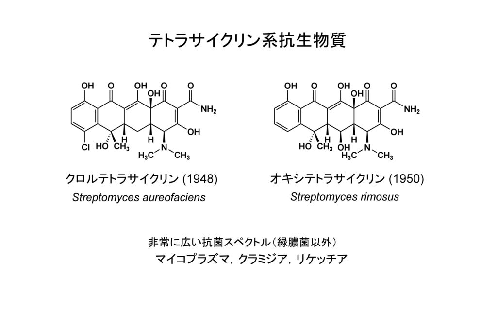 テトラサイクリン系抗生物質 クロルテトラサイクリン (1948) オキシテトラサイクリン (1950)