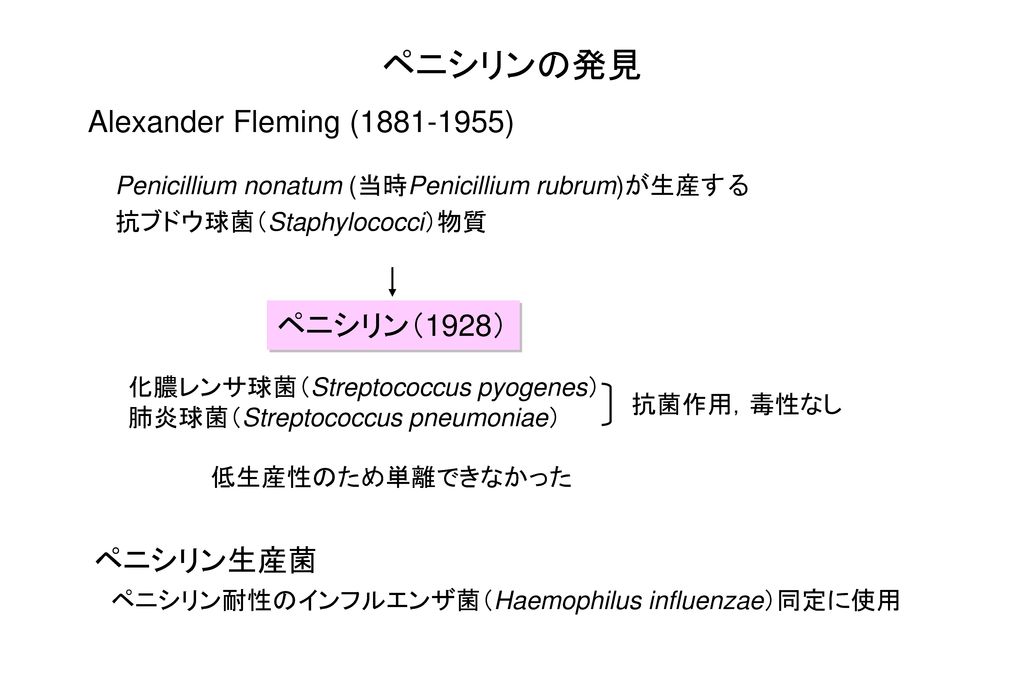 ペニシリンの発見 Alexander Fleming ( ) ペニシリン（1928） ペニシリン生産菌
