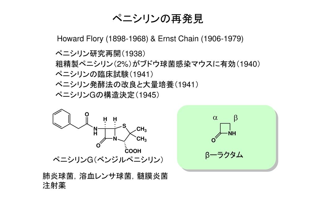 ペニシリンの再発見 Howard Flory ( ) & Ernst Chain ( )