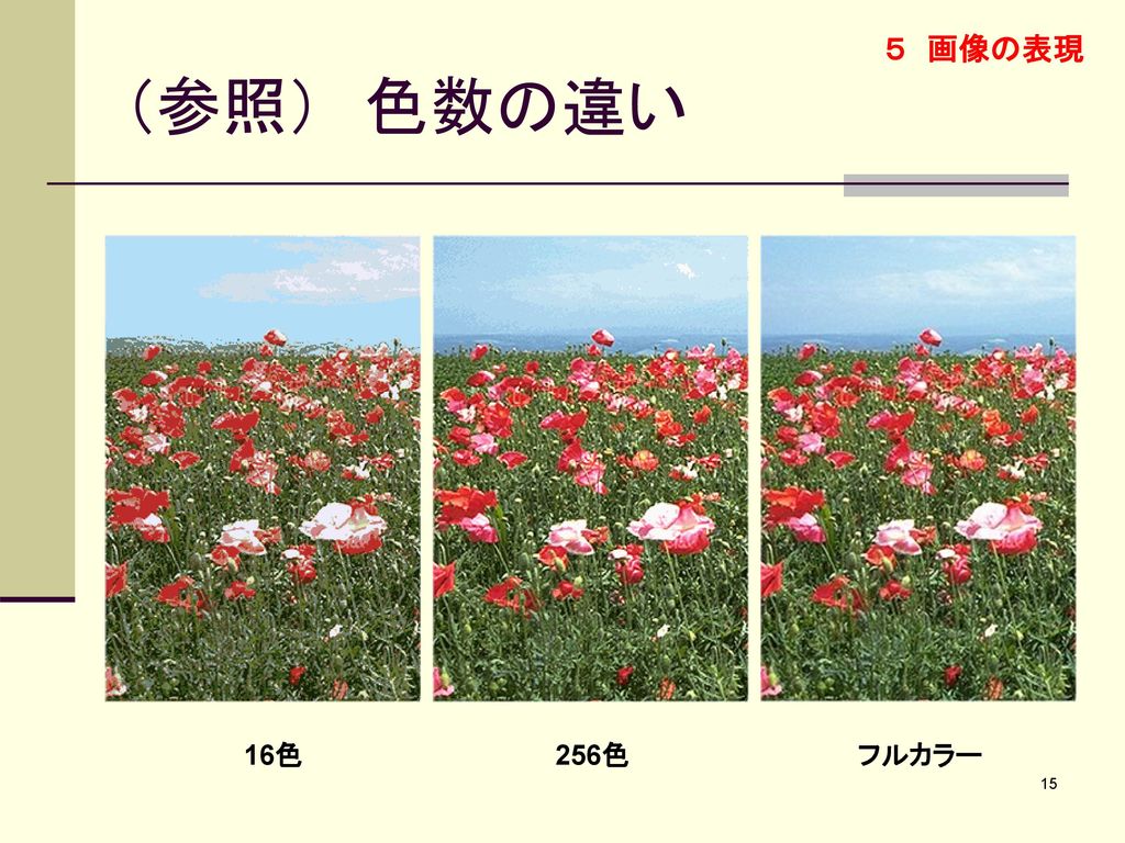 ５ 画像の表現 （参照） 色数の違い 16色 256色 フルカラー