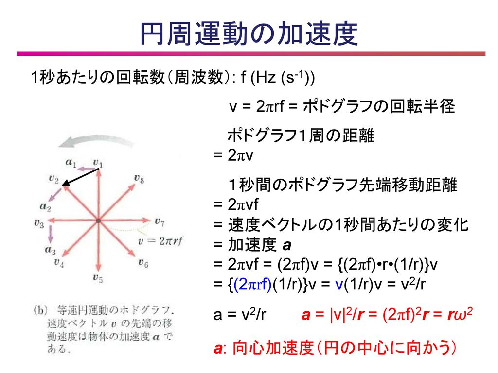 円周運動の加速度 1秒あたりの回転数（周波数）: f (Hz (s-1)) v = 2πrf = ポドグラフの回転半径 ポドグラフ１周の距離
