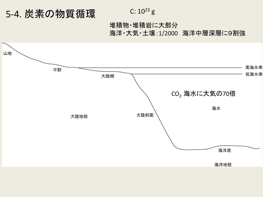 5-4. 炭素の物質循環 C: 1023 g 堆積物・堆積岩に大部分 海洋・大気・土壌：1/2000 海洋中層深層に９割強