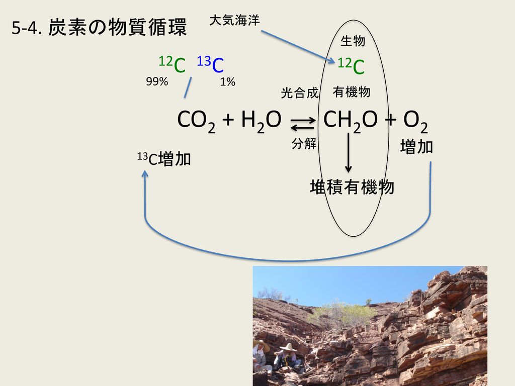 CO2 + H2O CH2O + O2 12C 13C 12C 5-4. 炭素の物質循環 増加 13C増加 堆積有機物 大気海洋 生物